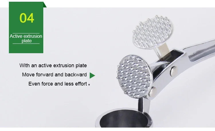 Stainless Steel Garlic Press & Ginger Masher