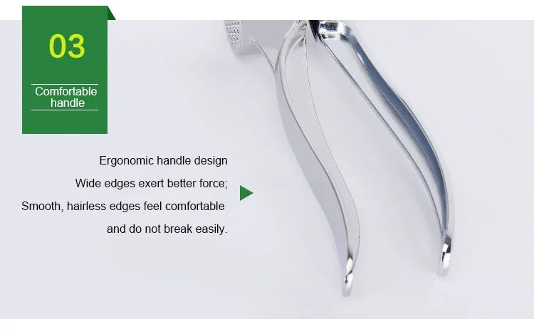 Stainless Steel Garlic Press & Ginger Masher