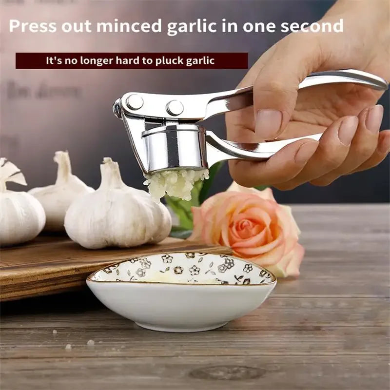 Stainless Steel Garlic Press & Ginger Masher